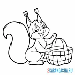 Раскраска белочка с корзинкой