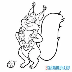 Раскраска белочка в бусах из орехов