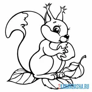 Раскраска белочка с орешком на ветке