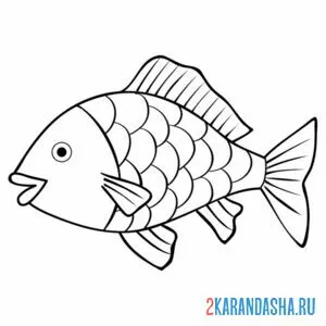 Раскраска речная рыба