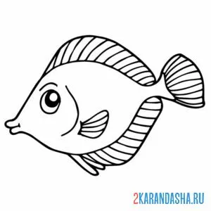 Раскраска рыбка для раскрашивания