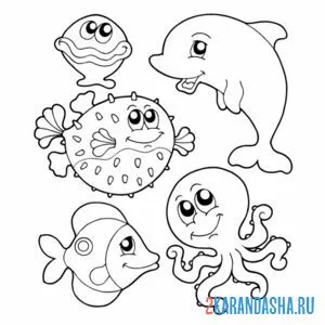 Раскраска назови морских обитателей