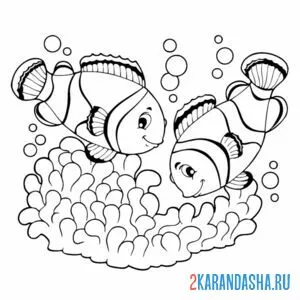 Раскраска две рыбки немо