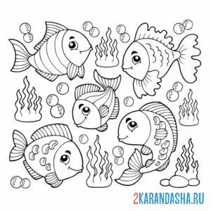 Раскраска красивые морские рыбки