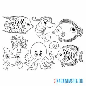 Раскраска морские обитатели разные