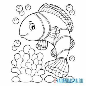 Раскраска морская рыбка и риф