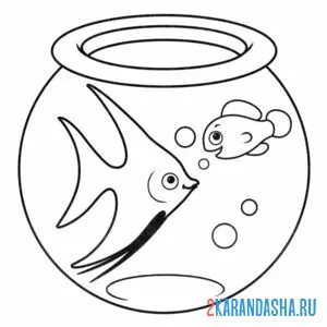 Раскраска две рыбки в аквариуме