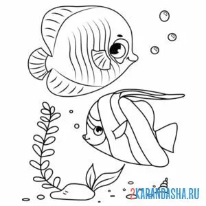 Раскраска две морских рыбки