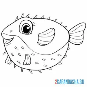 Раскраска фугу рыбка