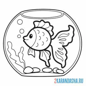 Раскраска золотая рыбка в аквариуме