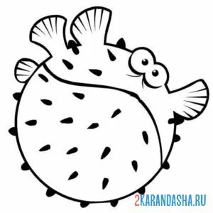 Раскраска рыба-шар напугалась