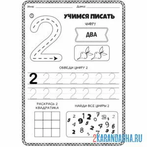 Раскраска задание дошкольника пропись цифра 2