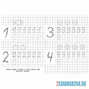 Раскраска пропись цифры 1 2 3 4 школа
