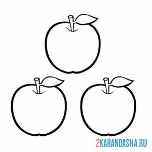 Раскраска 3 яблока