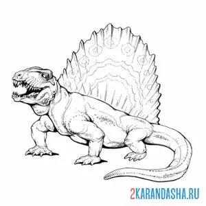 Раскраска диметродон