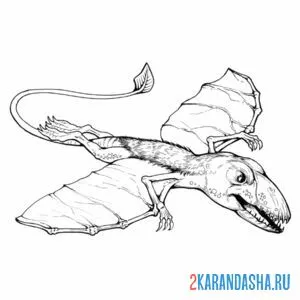 Раскраска диморфодон