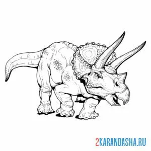 Раскраска трицератопс растительноядный динозавр