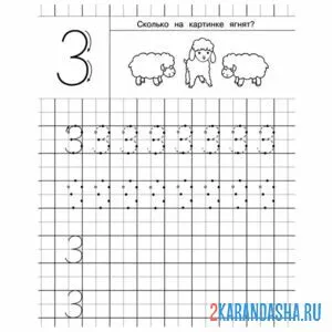 Раскраска выполни задание с цифрой 3