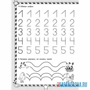 Раскраска пропись цифры 1 2 3 4 5