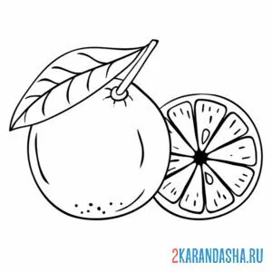 Раскраска свежий апельсин