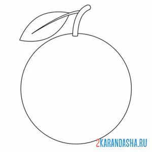 Раскраска простой апельсин