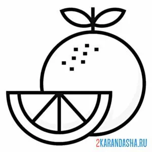 Раскраска апельсин и долька