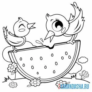 Раскраска птички едят арбуз