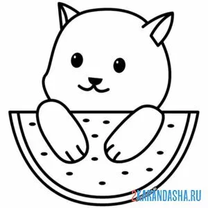 Раскраска котик на арбузе