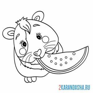 Раскраска хомяк ест арбуз
