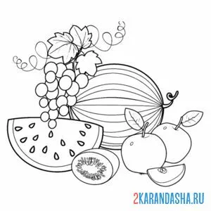 Раскраска фрукты арбуз, киви, виноград