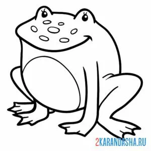 Раскраска лягушка сидит