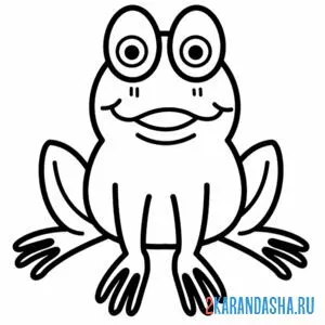 Раскраска лягушка смотрит