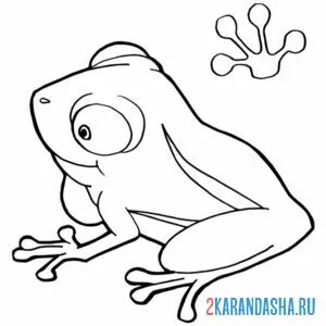 Раскраска лягушка задумалась