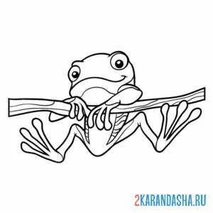 Раскраска лягушка на ветке