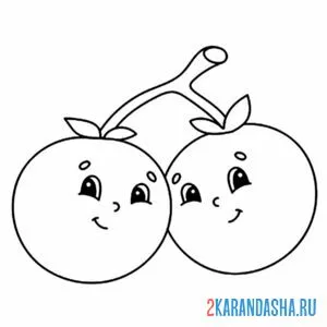 Раскраска две помидоры на ветке