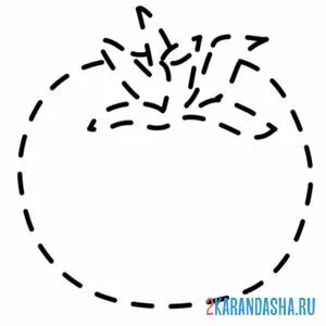 Раскраска обведи помидор по линии