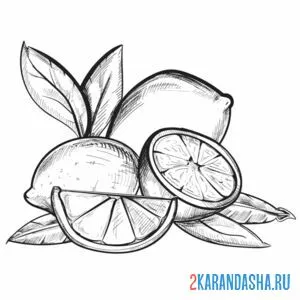 цитрусовые лимоны