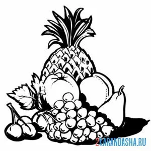Раскраска натюрморт ананас и фрукты