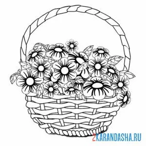 Раскраска корзина с цветами натюрморт