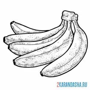 Раскраска связка спелых бананов