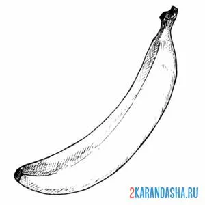 Раскраска одинокий банан