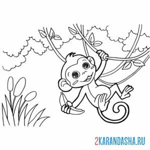 Раскраска обезьяна на дереве