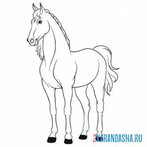 Раскраска статный конь лошадь