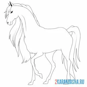 Раскраска статная лошадь