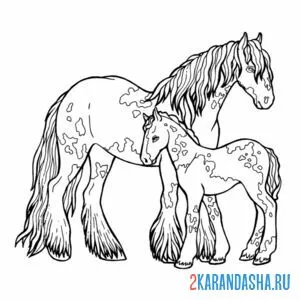 Раскраска мама лошадь и жеребенок