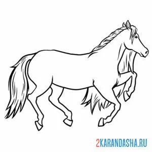 Раскраска простая лошадь