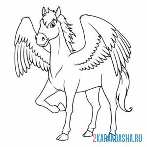 Раскраска пегас