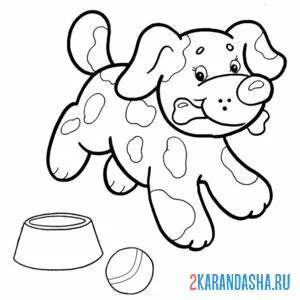 Раскраска собака с косточкой в зубах