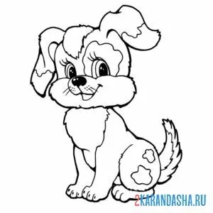 Раскраска собака-забияка