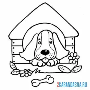 Раскраска собака в конуре